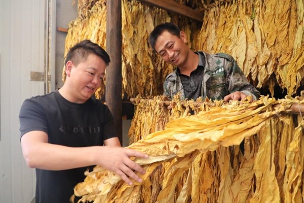 湖北咸丰：驻村帮扶付真情  乡村振兴展新颜