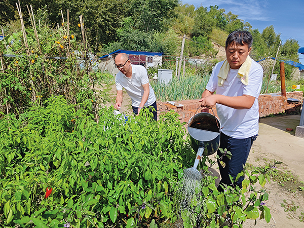 脚踏实地干实事  尽责担当兴乡村